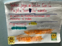 Iniciativas para el Reciclaje