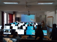 Colegio Mercedes Marín del Solar